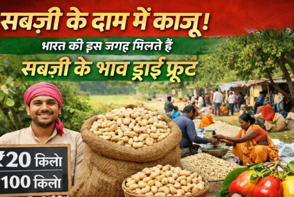 सब्जी के दाम में बिकता काजू, भारत के सस्ते काजू मार्केट की तस्वीर