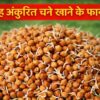 सुबह अंकुरित चने खाने के फायदे दिखाता हेल्दी नाश्ता