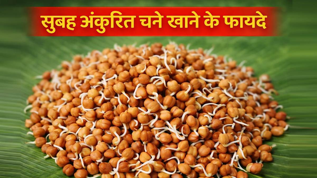 सुबह अंकुरित चने खाने के फायदे दिखाता हेल्दी नाश्ता